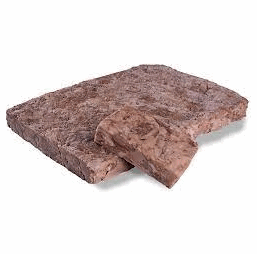 COSTILLA DE CERDO MONORACIÓN