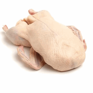 PATO CEBADO SIN HIGADO