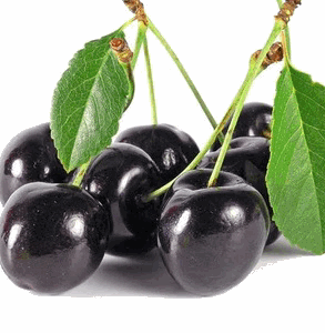 PULPA DE CEREZA NEGRA