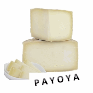 QUESO CABRA PAYOYA SEMICURADO