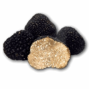 TRUFA DE VERANO AESTIVIUM